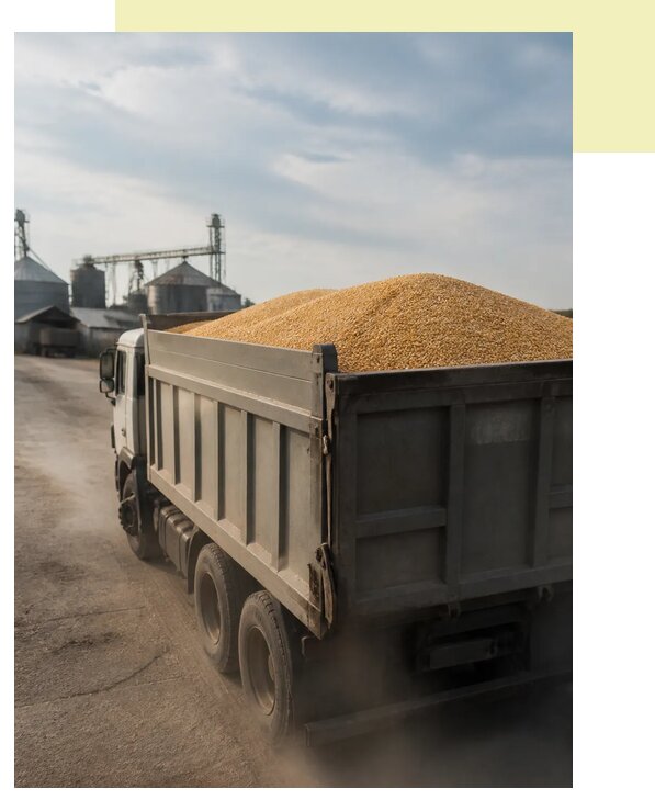 Перевозка сельхозпродукции навалом в Усинск по цене от 3071 р. | Агросервис-Снс