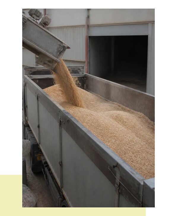 Перевозка отрубей в Усинск с гарантией сохранности груза