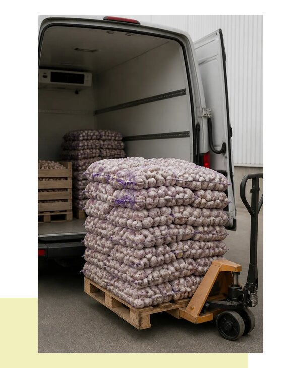 Перевозка чеснока в Усинск автомобильным транспортом оптом
